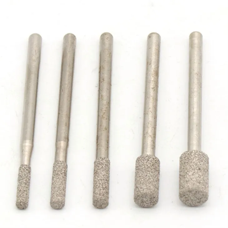 Insetto dell'ago del diamante